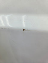 1999-2010 Ford Super Duty F250 F350 6' 9" Short Truck Bed