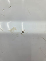 1999-2010 Ford Super Duty F250 F350 6' 9" Short Truck Bed