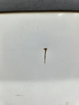 1999-2010 Ford Super Duty F250 F350 6' 9" Short Truck Bed