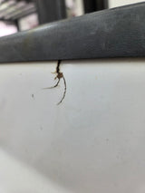 1999-2010 Ford Super Duty F250 F350 6' 9" Short Truck Bed