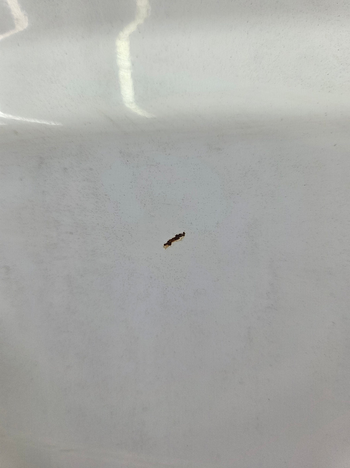 1999-2010 Ford Super Duty F250 F350 6' 9" Short Truck Bed