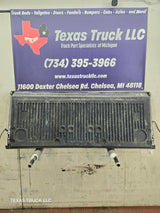 2009-2014 Ford F150 Tailgate