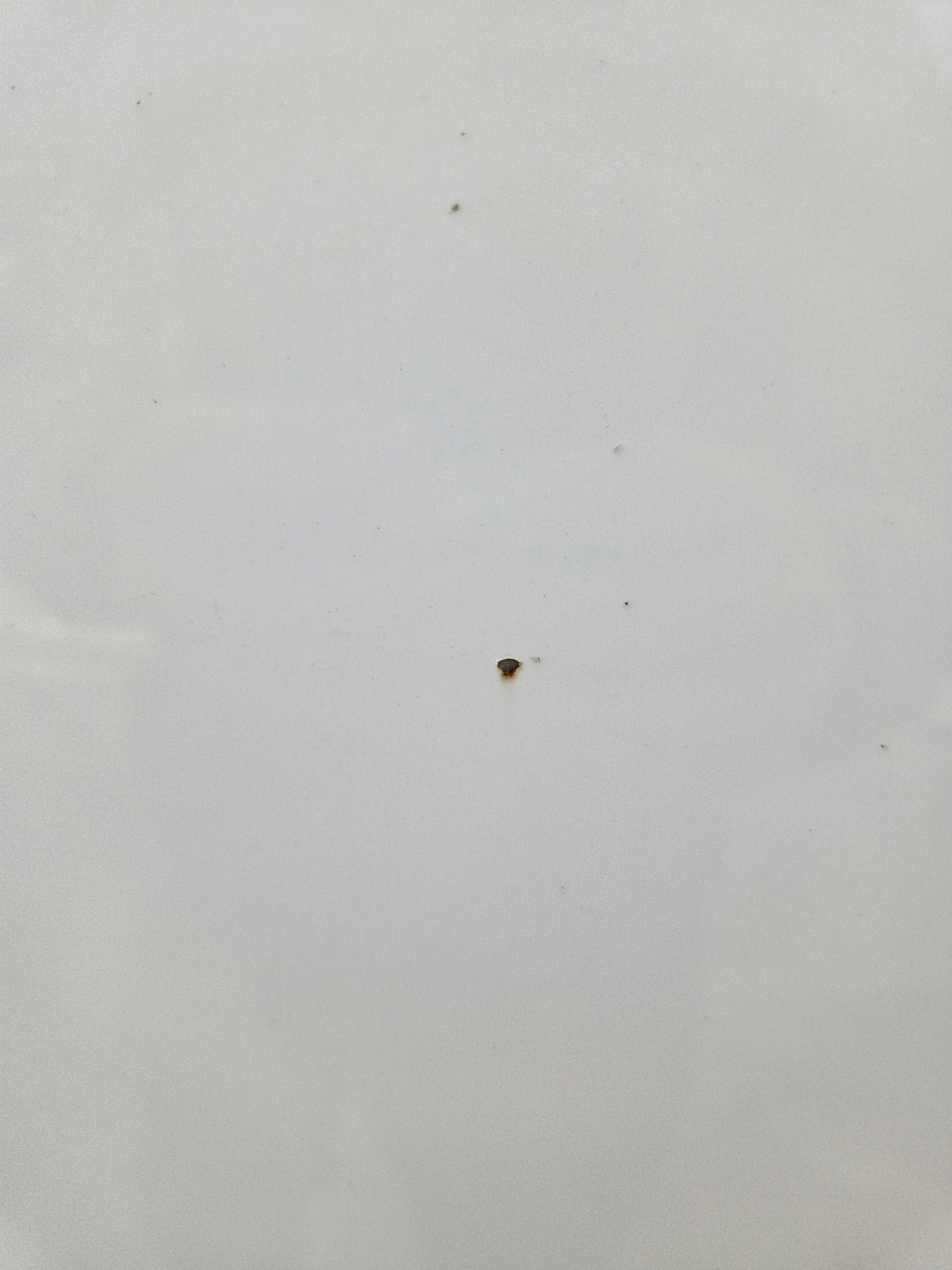 2004-2015 Nissan Titan Crew Cab 5' 6" Short Bed