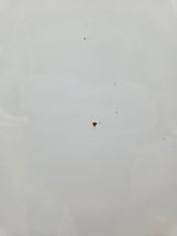 2004-2015 Nissan Titan Crew Cab 5' 6" Short Bed