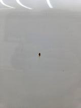 2004-2015 Nissan Titan Crew Cab 5' 6" Short Bed