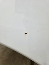 2004-2015 Nissan Titan Crew Cab 5' 6" Short Bed