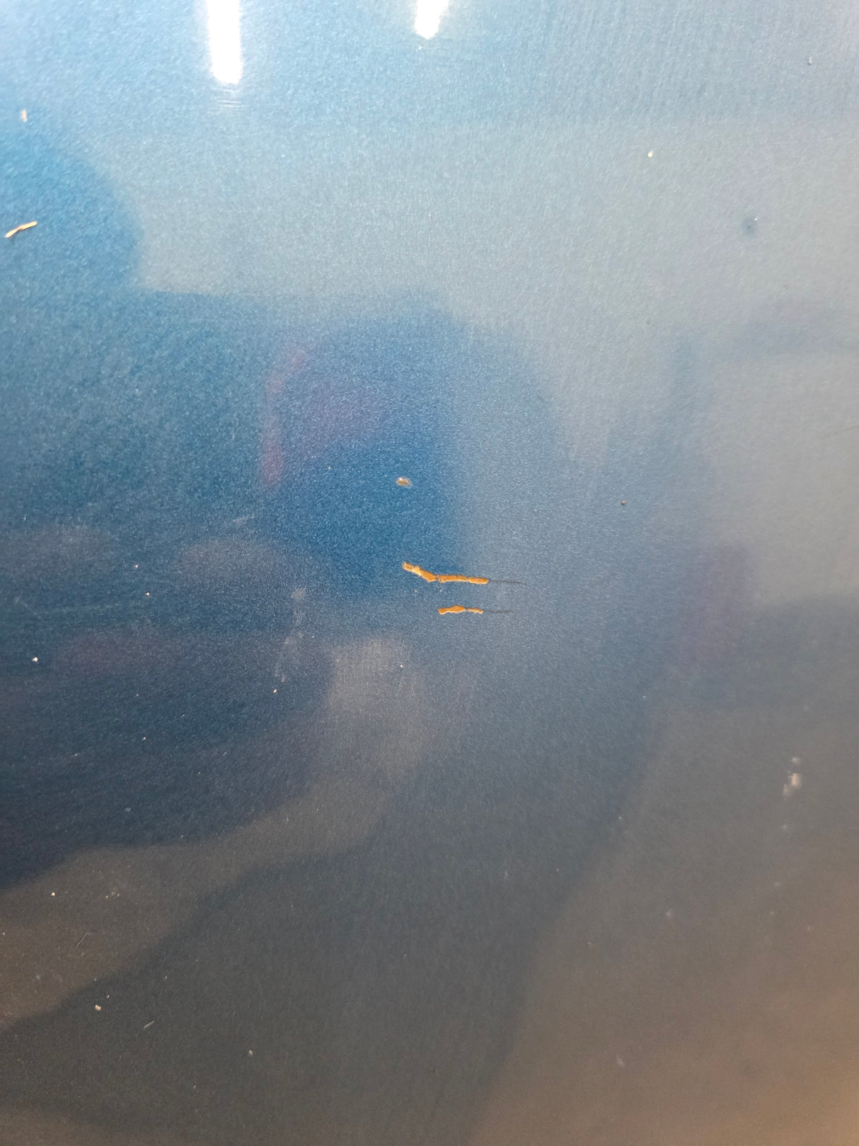 2001-2004 Nissan Frontier Long Bed Truck Bed 6' 2"