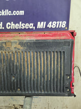 2004-2008 Ford F-150 Tailgate