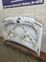 1999-2007 Ford Super Duty Hood F250 F350 F450 F550