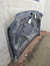 1999-2007 Ford Super Duty Hood F250 F350 F450 F550