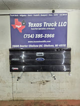 2009-2014 Ford F150 Tailgate