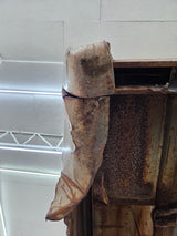 1964-1966 Ford F100 F250 Short Bed