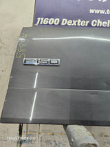 2004-2008 Ford F-150 Tailgate