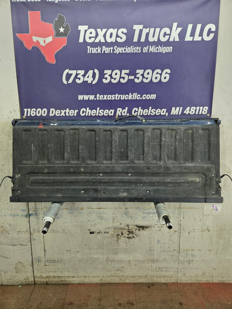 2009-2014 Ford F150 Tailgate