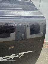 2001-2004 Dodge Dakota Passenger Side RH Front Door