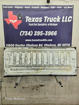 2004-2008 Ford F-150 Tailgate