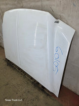 1999-2007 Ford Super Duty Hood F250 F350 F450 F550