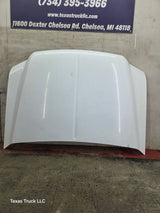 1999-2007 Ford Super Duty Hood F250 F350 F450 F550