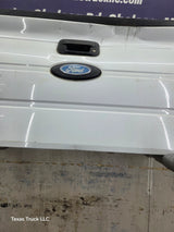 2009-2014 Ford F150 Tailgate
