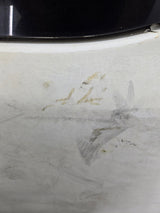 2000-2006 Toyota Tundra Extended Cab Driver Side Rear Door Rear LH