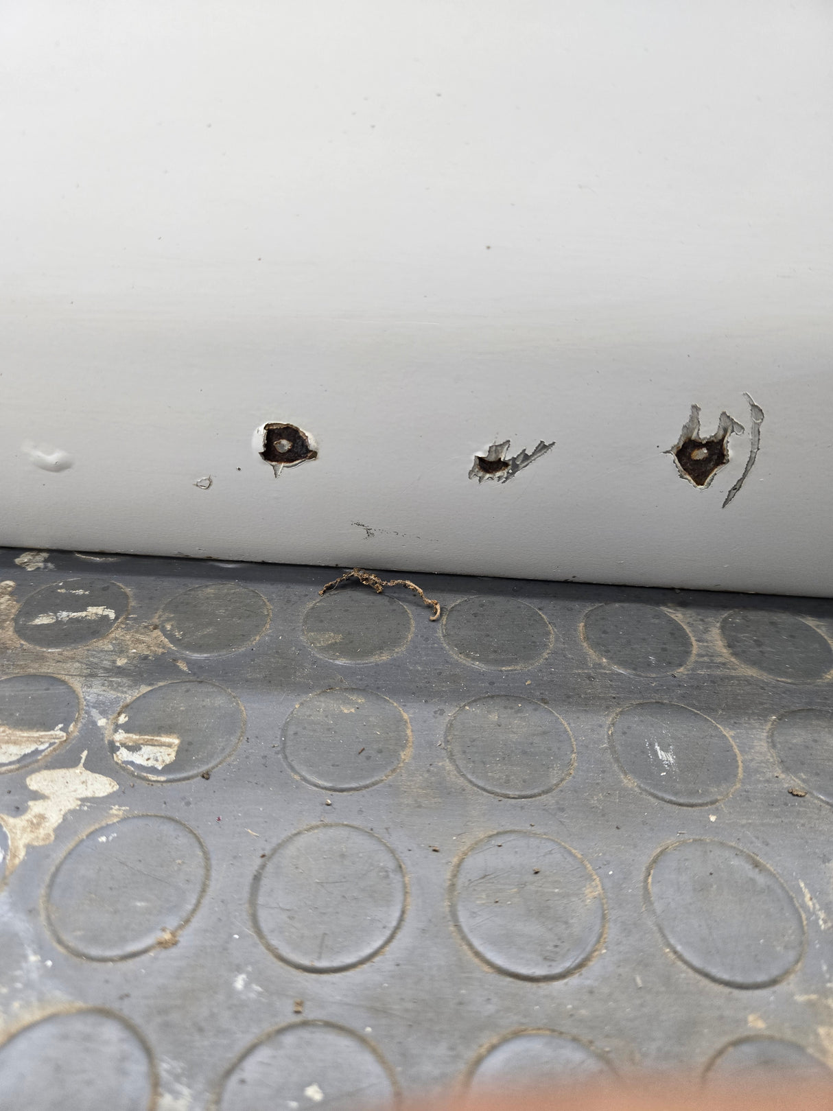 2000-2006 Toyota Tundra Extended Cab Passenger Side Rear Door Rear RH