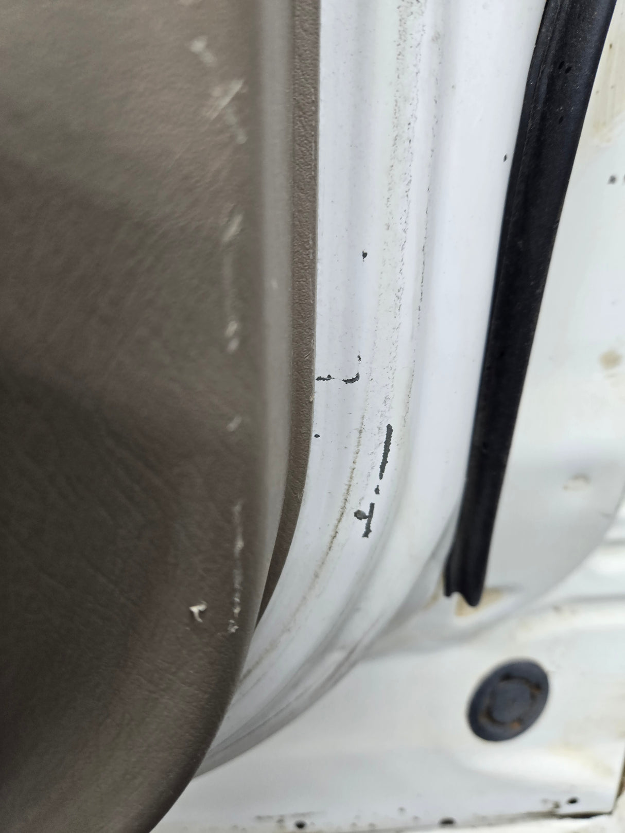 2000-2006 Toyota Tundra Extended Cab Passenger Side Rear Door Rear RH