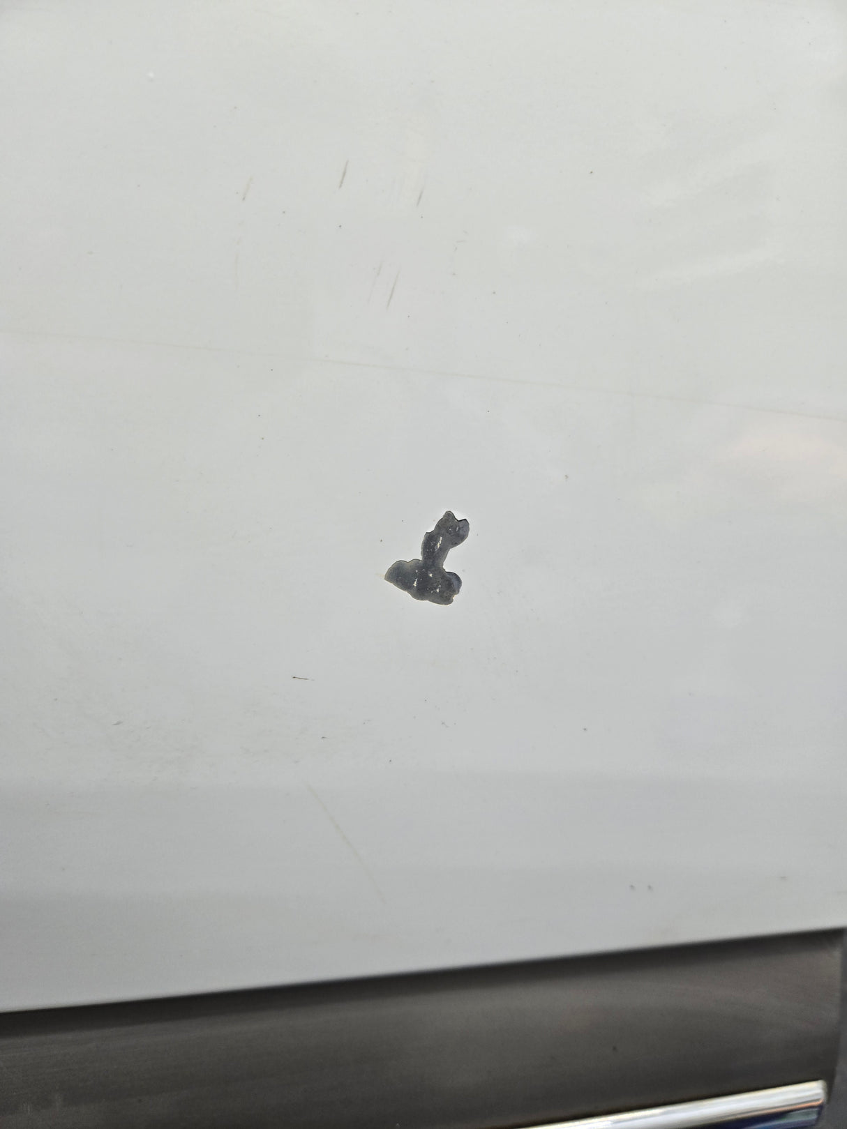 1999-2006 Chevrolet Silverado / GMC Sierra 1500 2500 3500 HD Rear Driver Side Extended Cab Rear Door