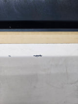 1987-1997 Ford F Series F250 F350 F450 F550 Passenger Side Front Door RH