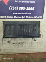 2002-2005 Ford Explorer Tailgate