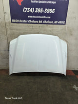1999-2007 Ford Super Duty Hood F250 F350 F450 F550