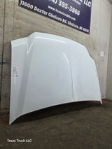1999-2007 Ford Super Duty Hood F250 F350 F450 F550