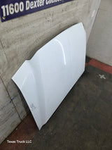 1999-2007 Ford Super Duty Hood F250 F350 F450 F550
