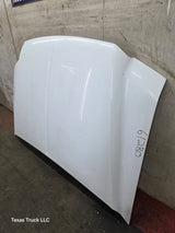 1999-2007 Ford Super Duty Hood F250 F350 F450 F550
