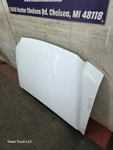 1999-2007 Ford Super Duty Hood F250 F350 F450 F550