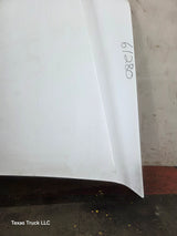 1999-2007 Ford Super Duty Hood F250 F350 F450 F550