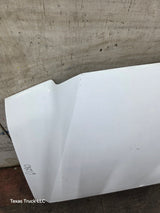 1999-2007 Ford Super Duty Hood F250 F350 F450 F550