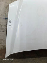 1999-2007 Ford Super Duty Hood F250 F350 F450 F550