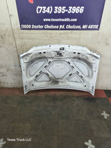1999-2007 Ford Super Duty Hood F250 F350 F450 F550