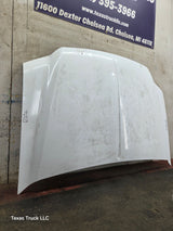 1999-2007 Ford Super Duty Hood F250 F350 F450 F550