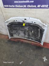 1999-2007 Ford Super Duty Hood F250 F350 F450 F550