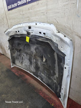 1999-2007 Ford Super Duty Hood F250 F350 F450 F550