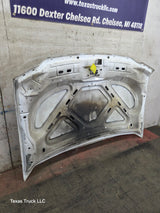 1999-2007 Ford Super Duty Hood F250 F350 F450 F550