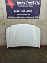 1999-2007 Ford Super Duty Hood F250 F350 F450 F550