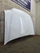 1999-2007 Ford Super Duty Hood F250 F350 F450 F550