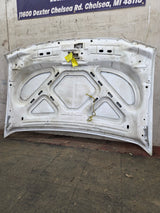 1999-2007 Ford Super Duty Hood F250 F350 F450 F550