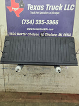 2019-2025 Chevrolet Silverado 1500 Tailgate