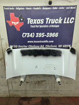 2008-2019 & 2021-2025 Ford E-Series Hood E150 E250 E350 E450