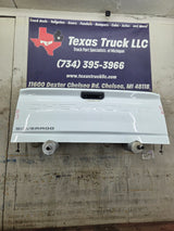 2019-2025 Chevrolet Silverado 2500 3500 Truck Tailgate
