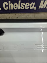 2019-2025 Chevrolet Silverado 2500 3500 Truck Tailgate