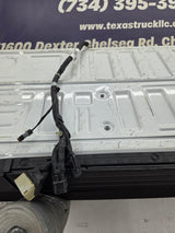 2023-2026 Ford F250 F350 F450 F550 Super Duty PLATINUM Tailgate W/Step